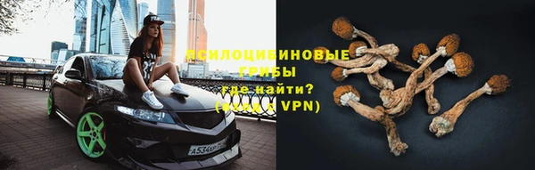 ПСИЛОЦИБИНОВЫЕ ГРИБЫ Алзамай