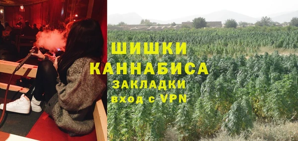 ПСИЛОЦИБИНОВЫЕ ГРИБЫ Алзамай