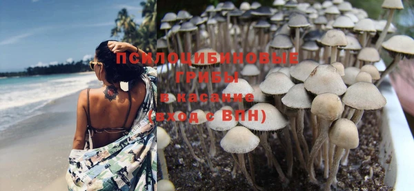 прущие крисы Алексин