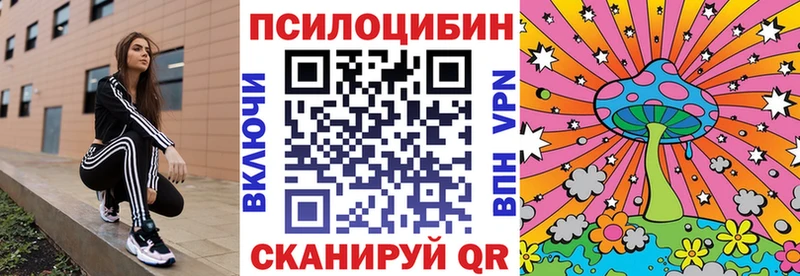 Галлюциногенные грибы прущие грибы  Саров 
